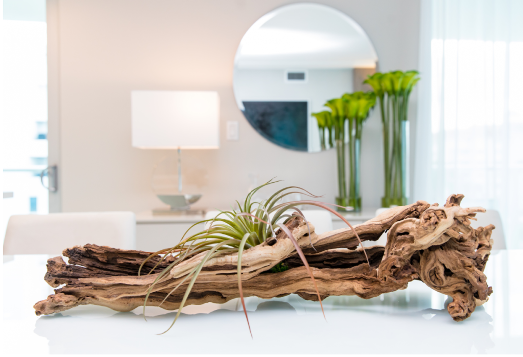 Soft neutral interior with decorative planting